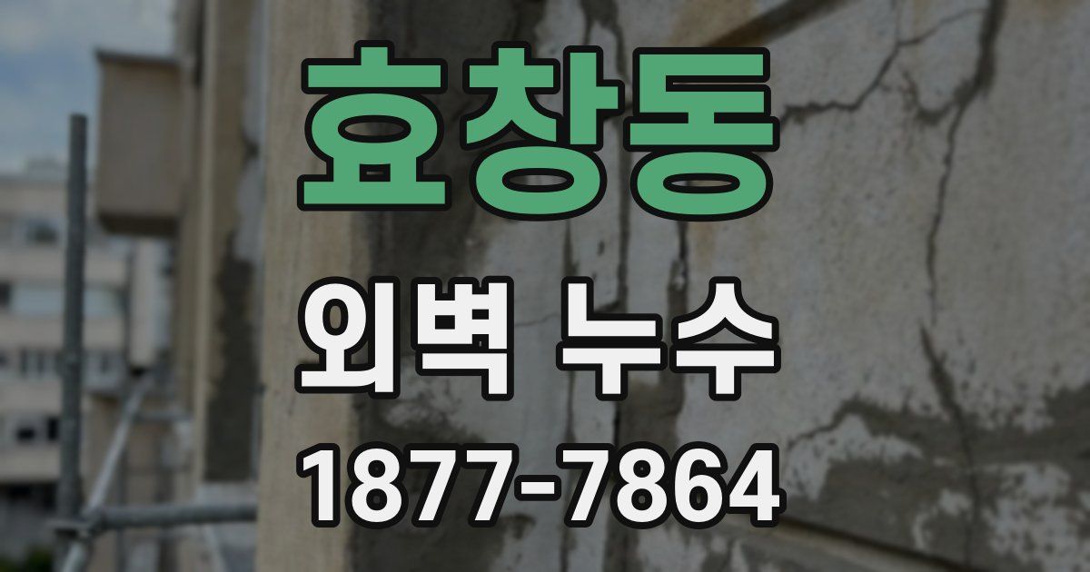 효창동 외벽 누수