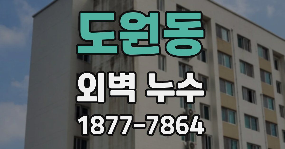 도원동 외벽 누수