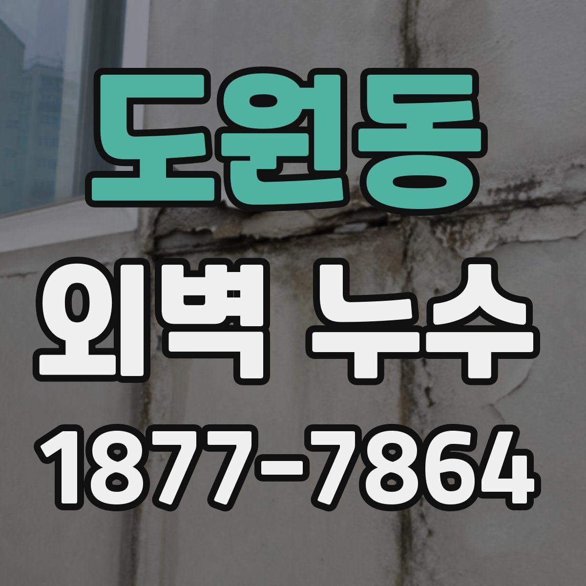 도원동 외벽 누수