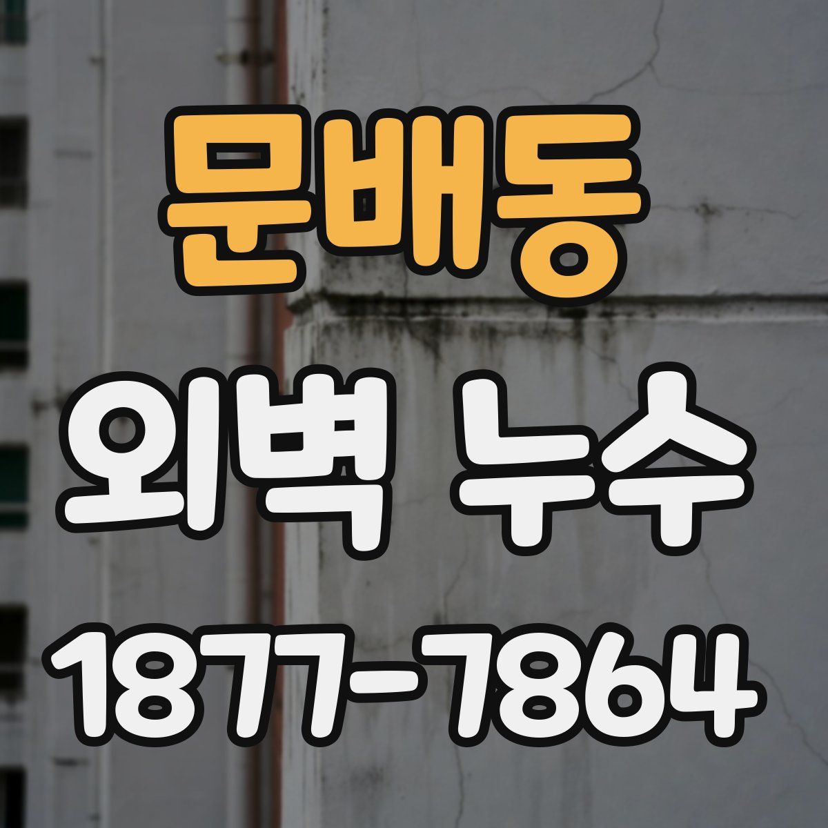문배동 외벽 누수
