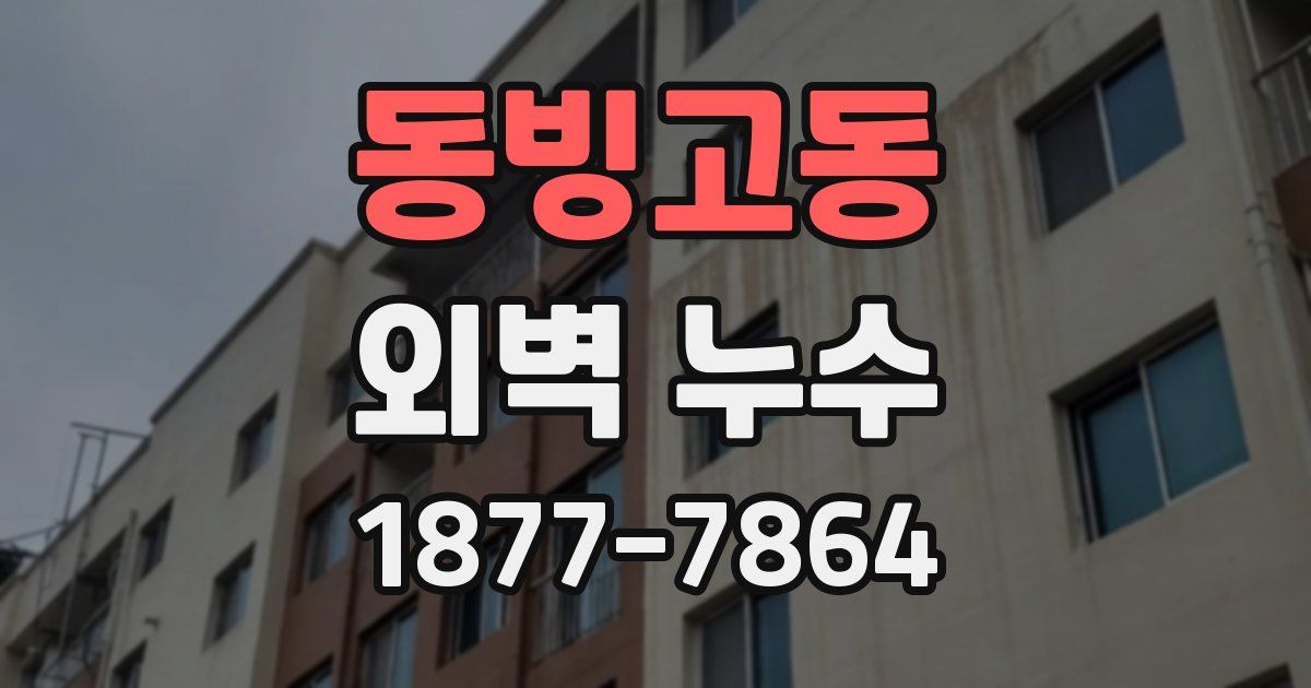 동빙고동 외벽 누수