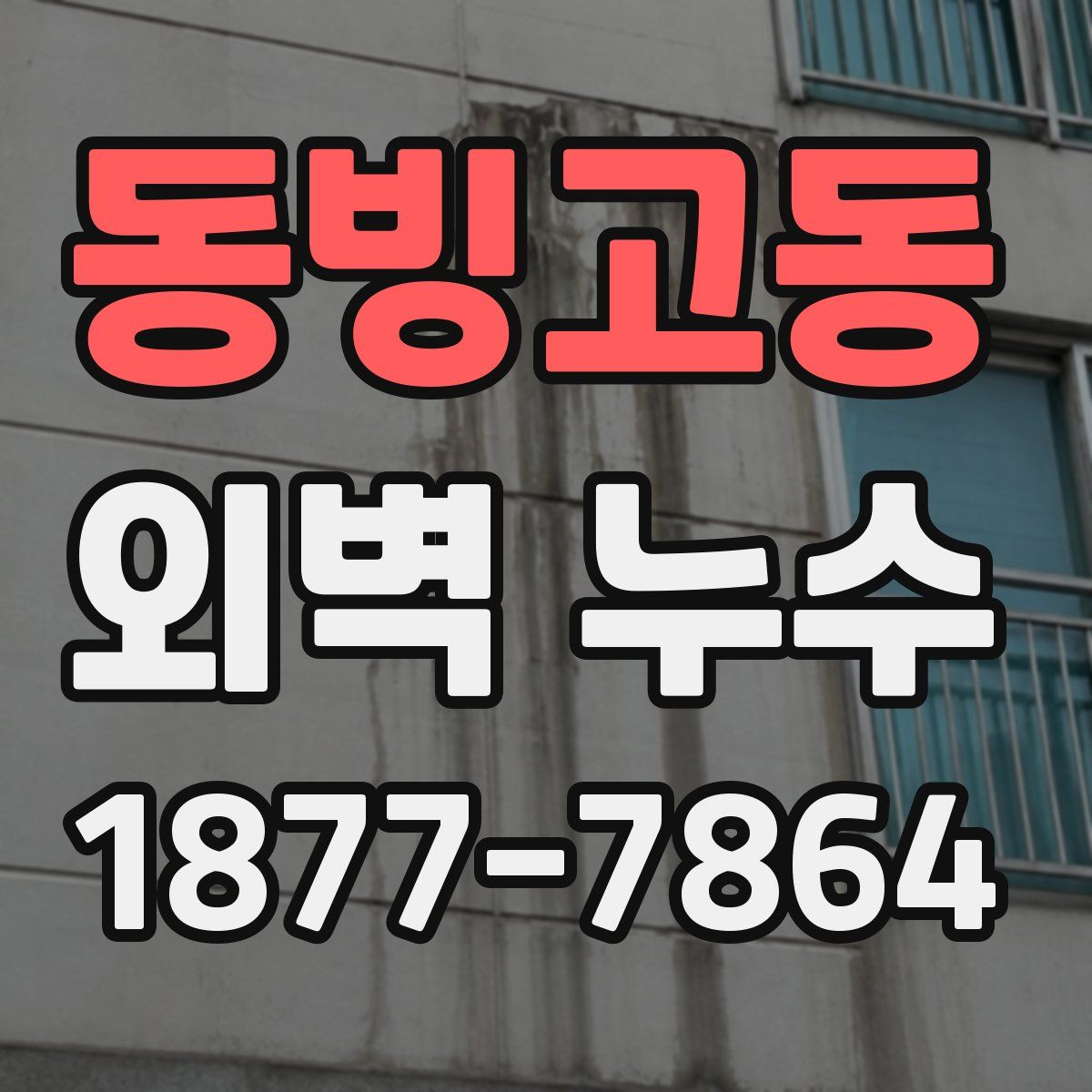 동빙고동 외벽 누수