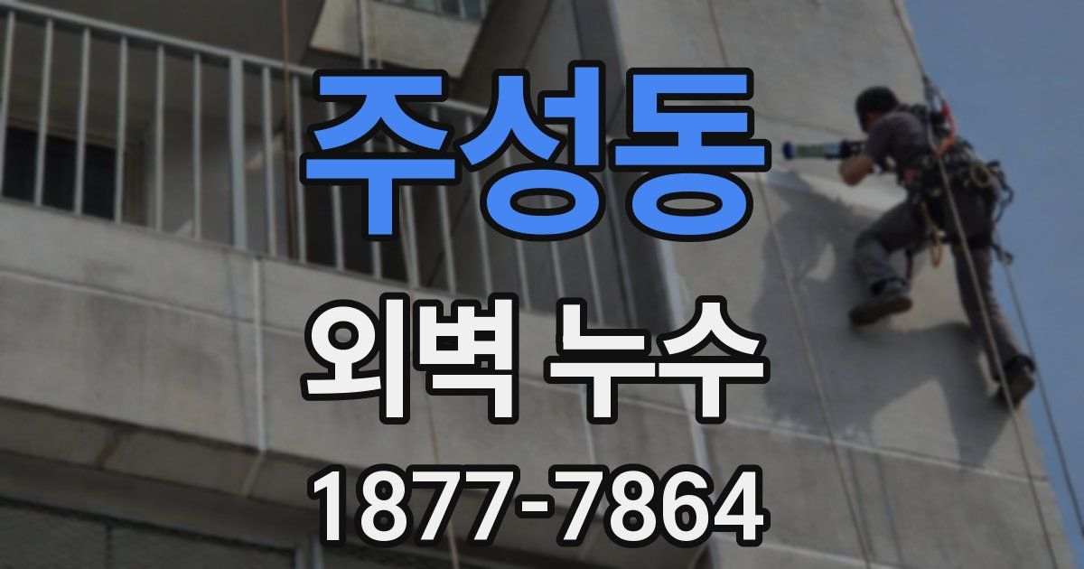 주성동 외벽 누수