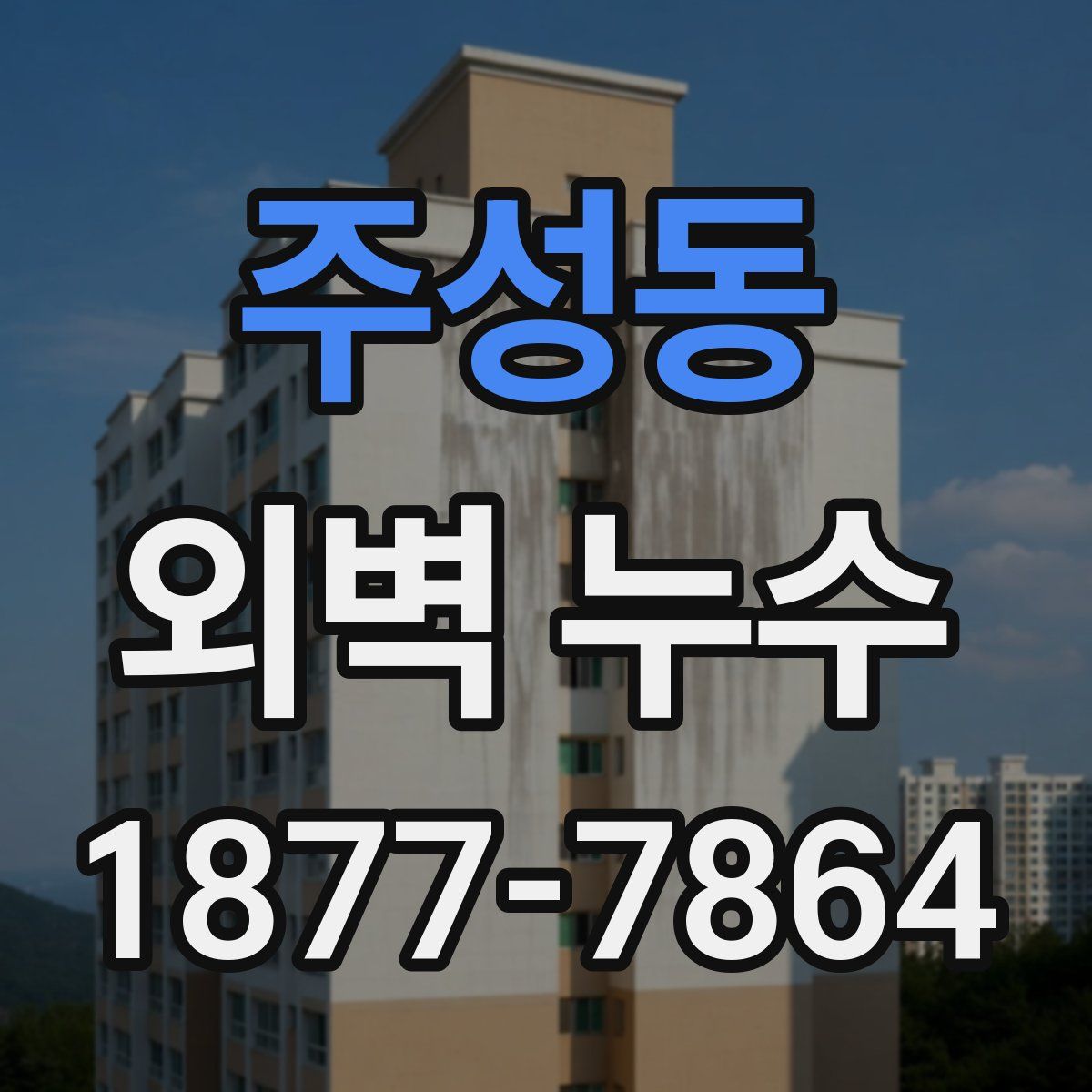 주성동 외벽 누수