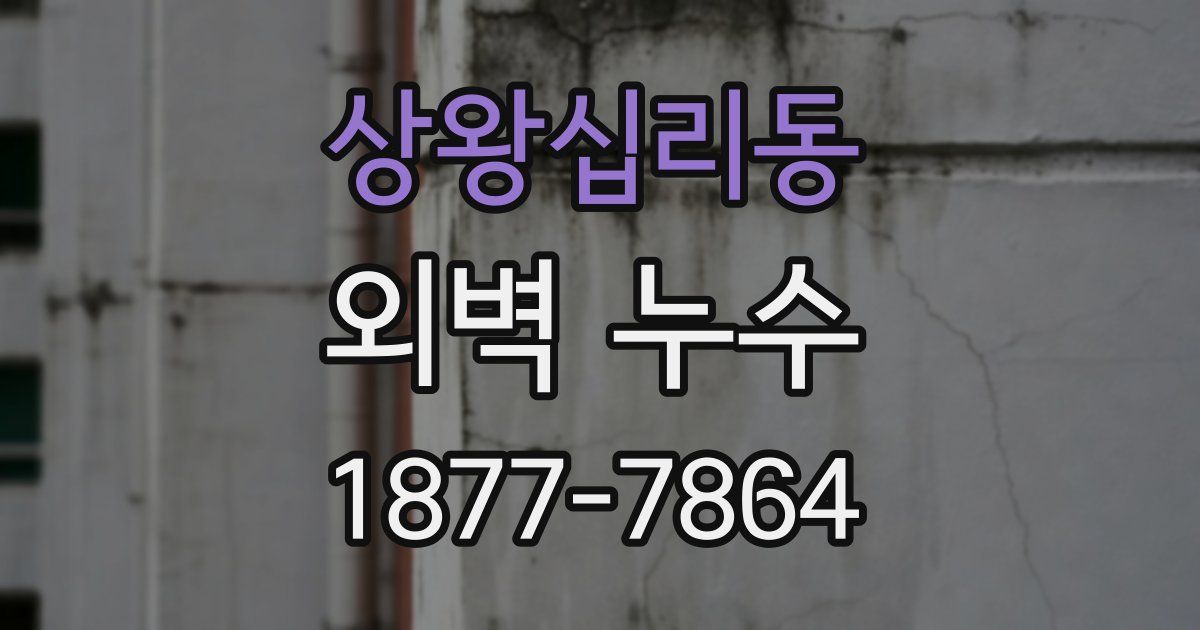 상왕십리동 외벽 누수