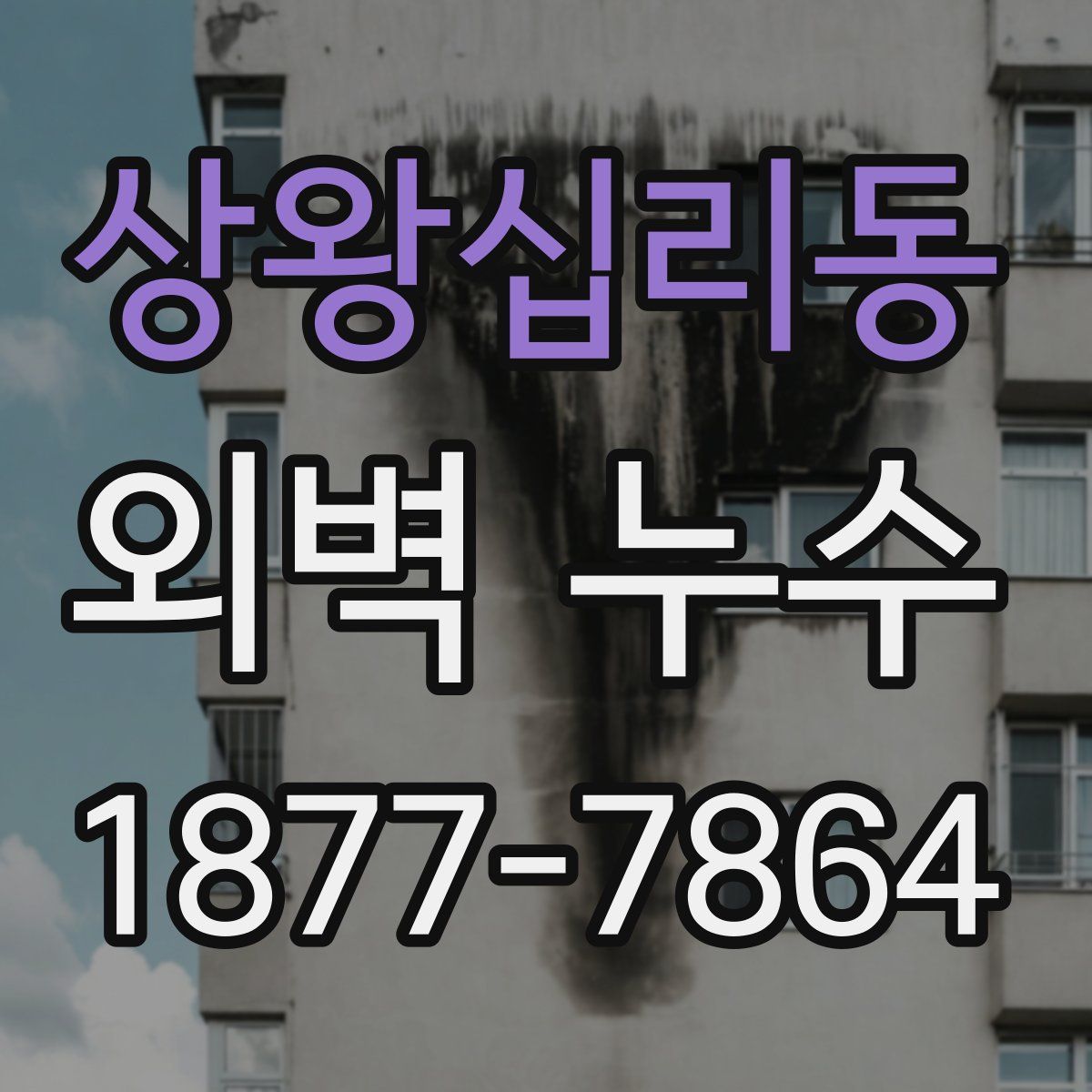 상왕십리동 외벽 누수