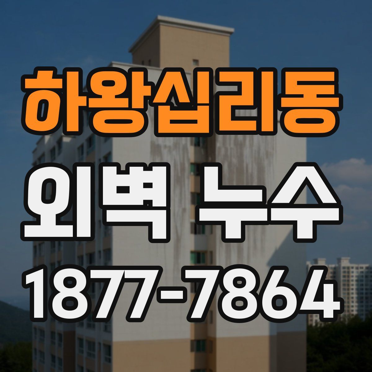 하왕십리동 외벽 누수