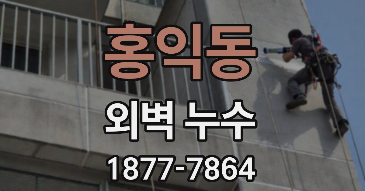 홍익동 외벽 누수