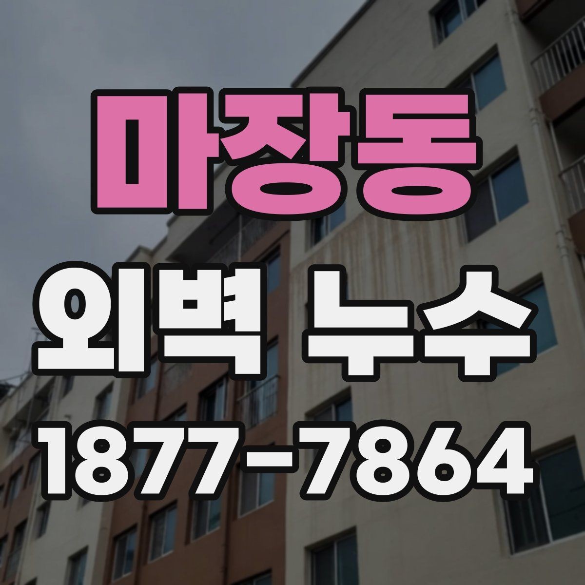 마장동 외벽 누수 수리 비용을 판단하는 기준