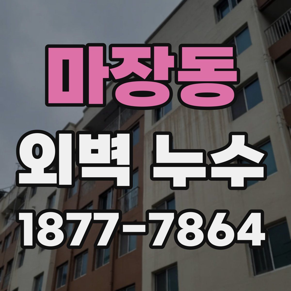 마장동 외벽 누수