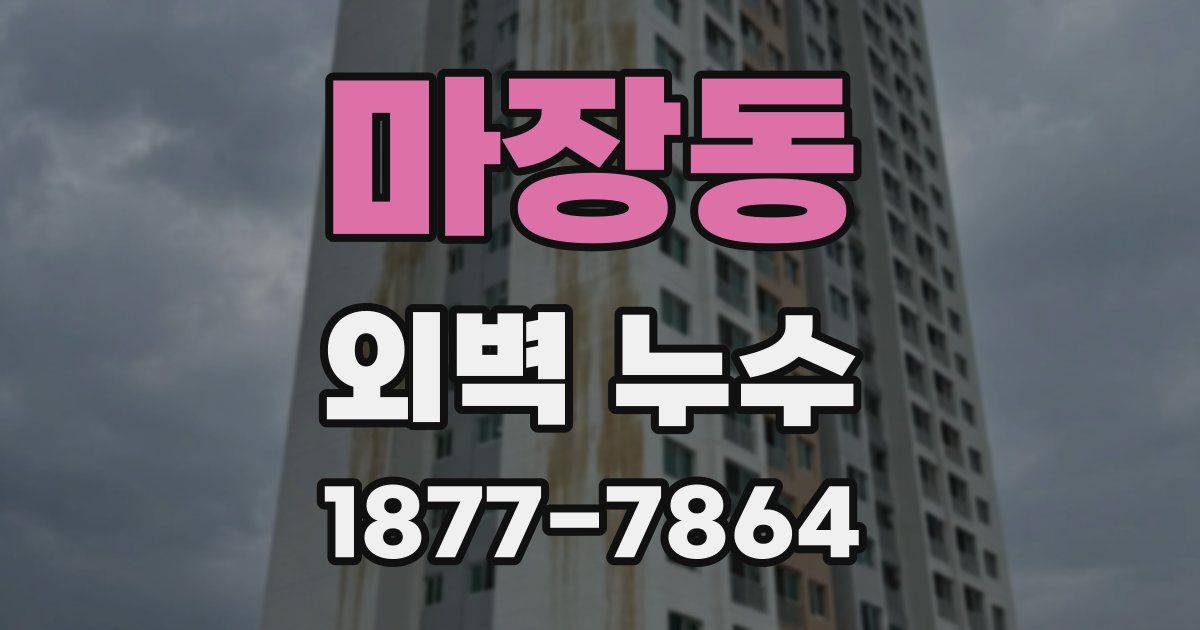마장동 외벽 누수