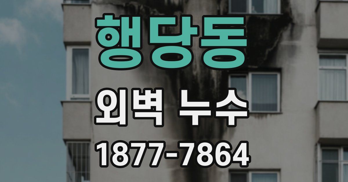 행당동 외벽 누수