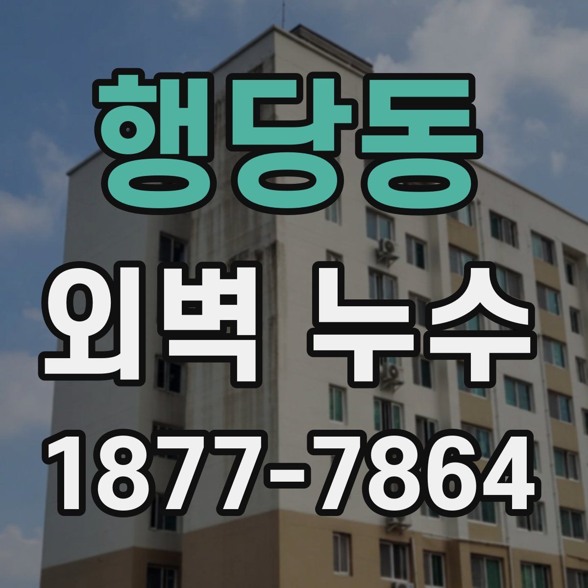 행당동 외벽 누수