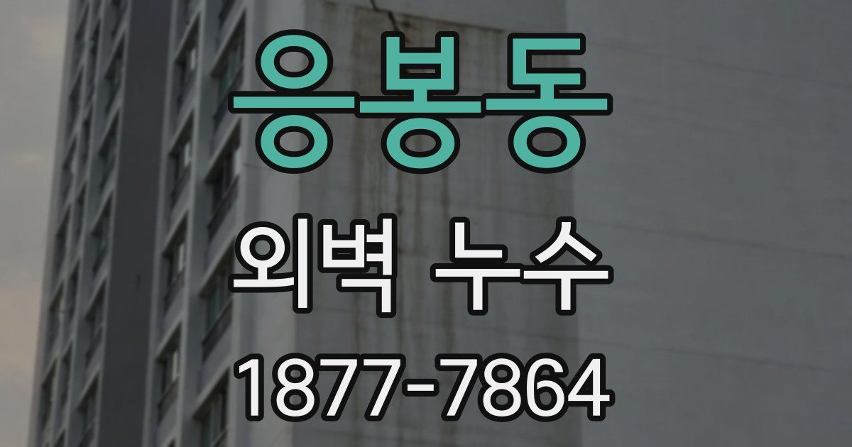 응봉동 외벽 누수