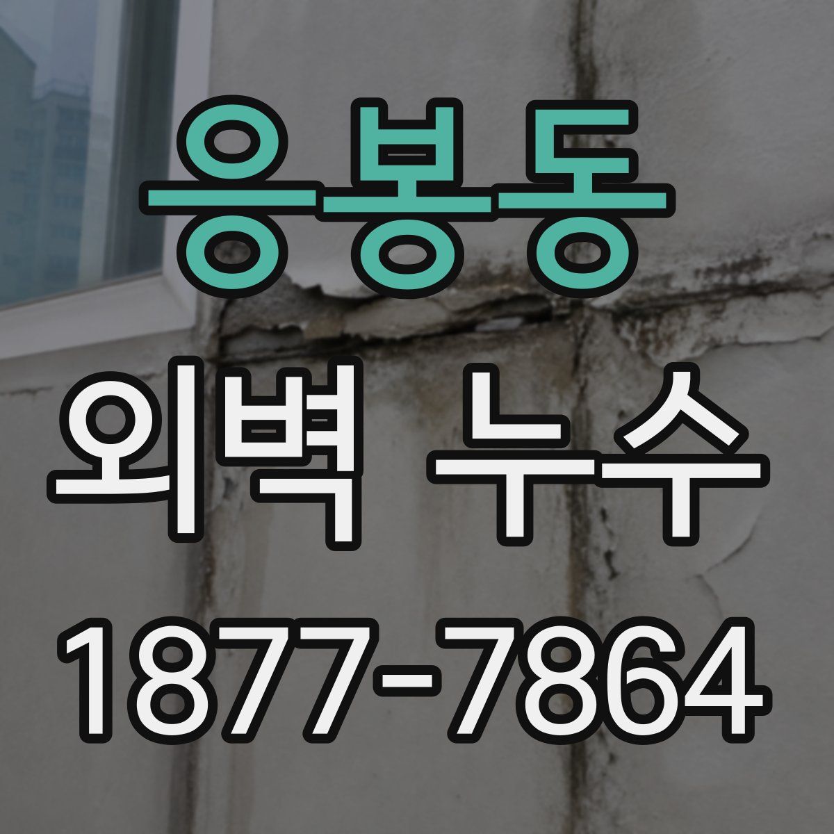응봉동 외벽 누수