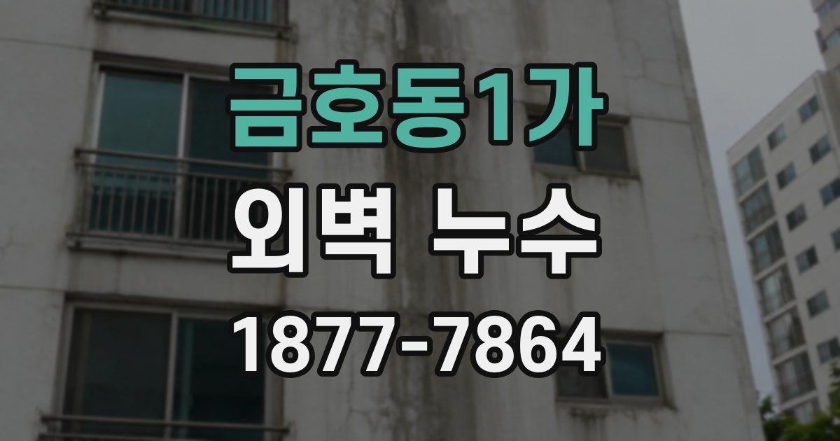 금호동1가 외벽 누수