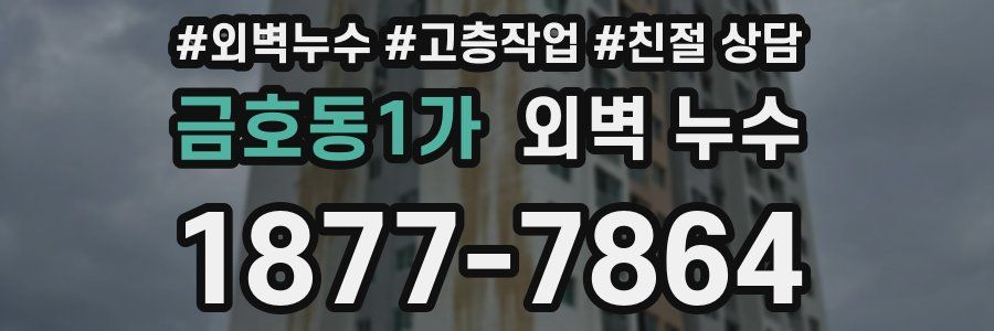 금호동1가 외벽 누수