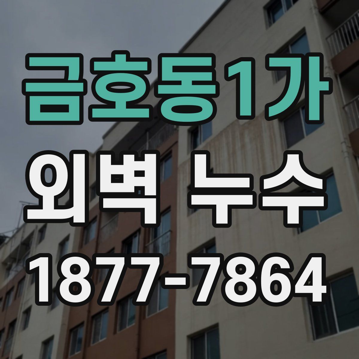 금호동1가 외벽 누수