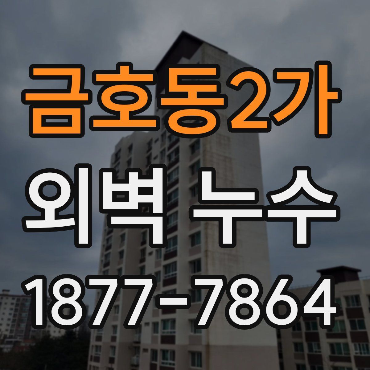 금호동2가 외벽 누수
