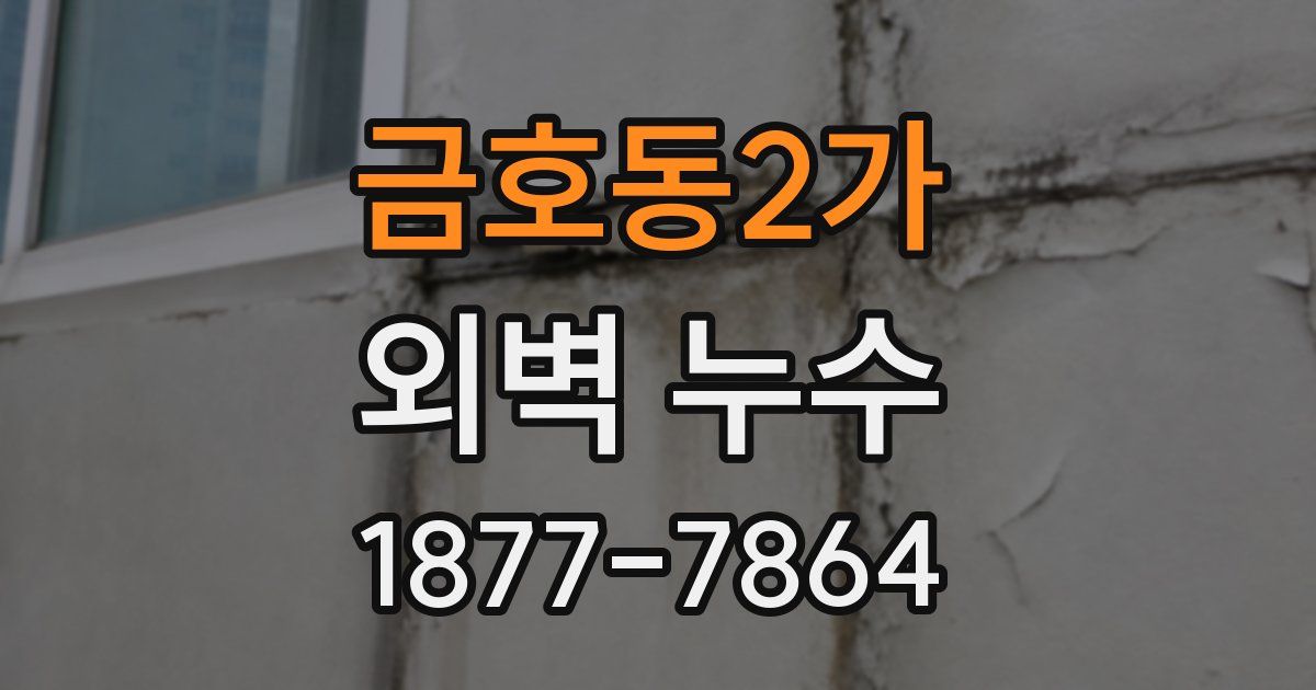 금호동2가 외벽 누수