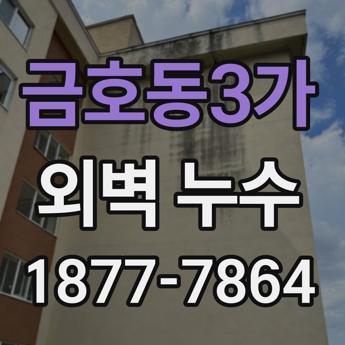 금호동3가 외벽 누수