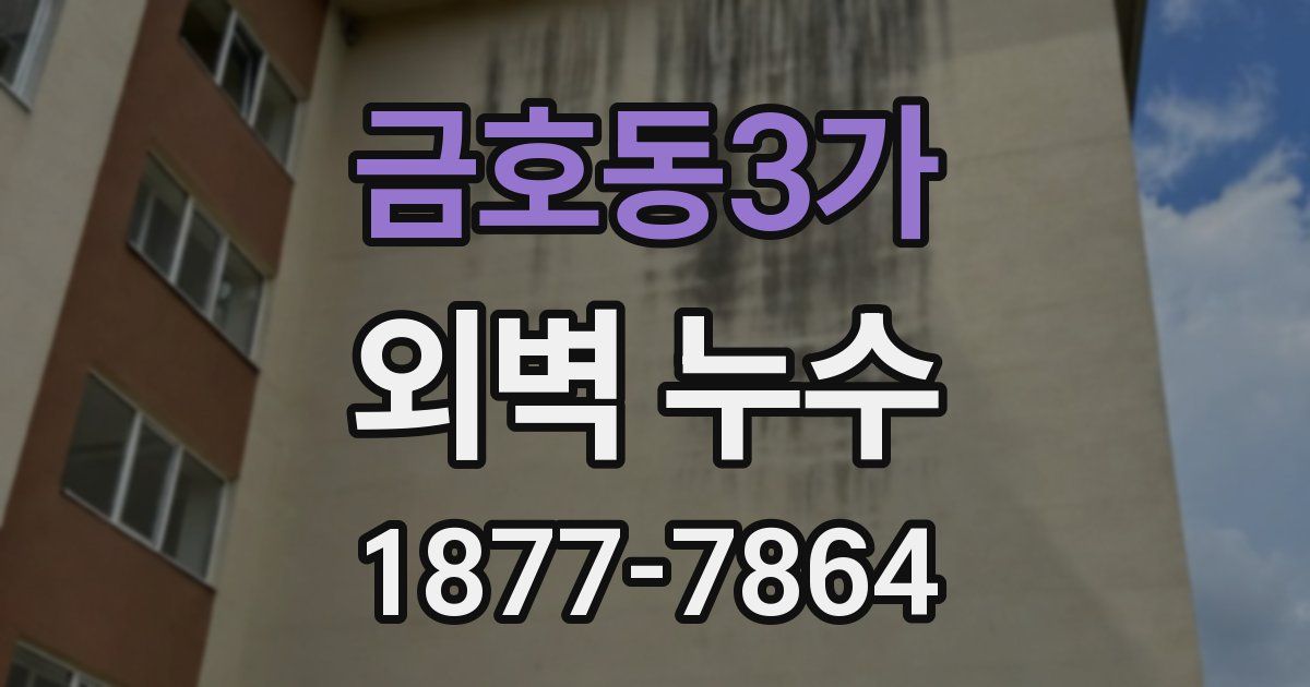 금호동3가 외벽 누수