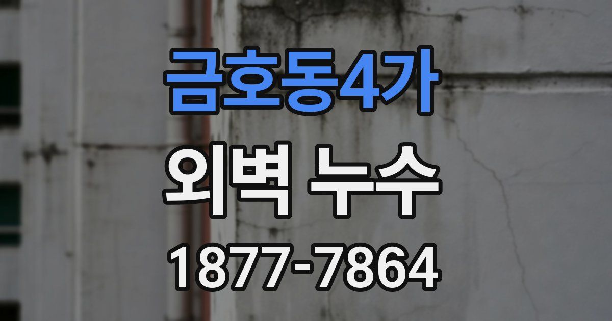 금호동4가 외벽 누수