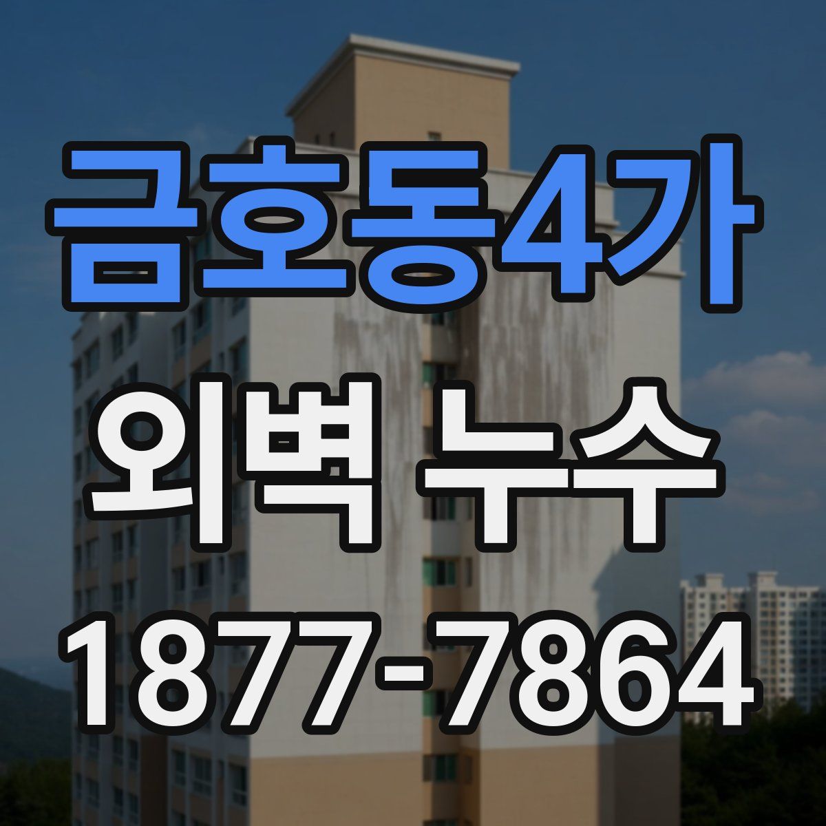 금호동4가 외벽 누수