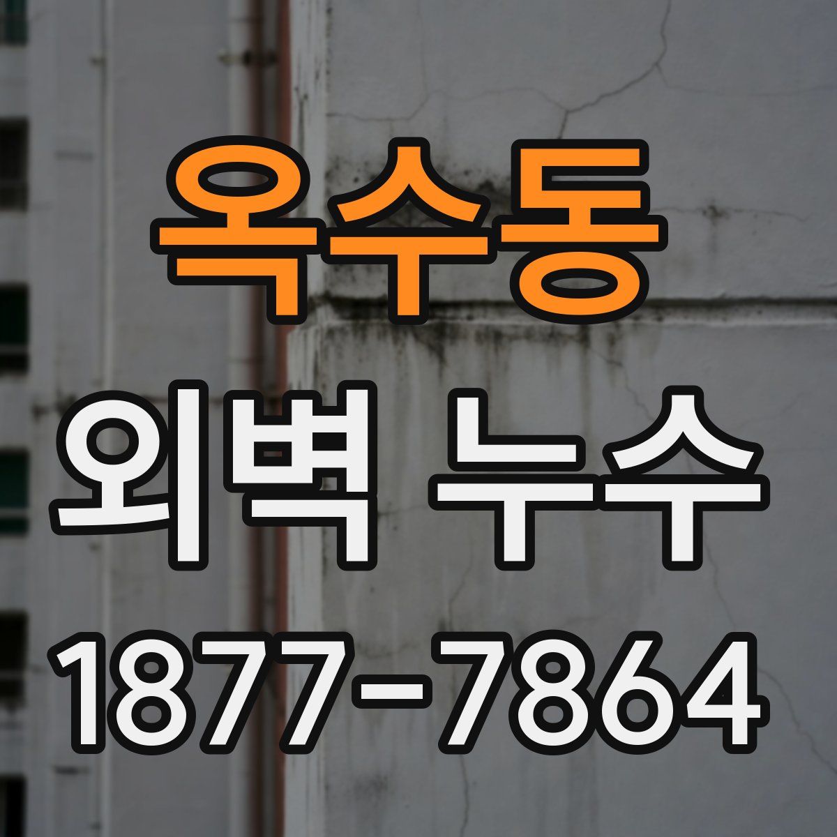 옥수동 외벽 누수
