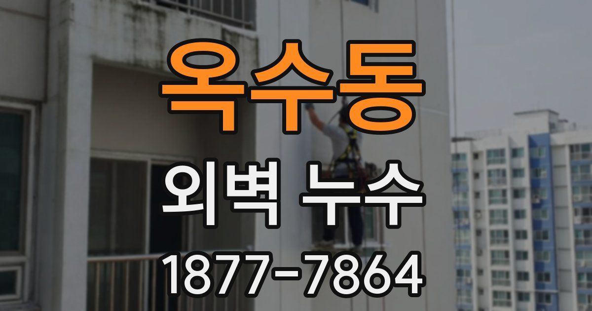 옥수동 외벽 누수