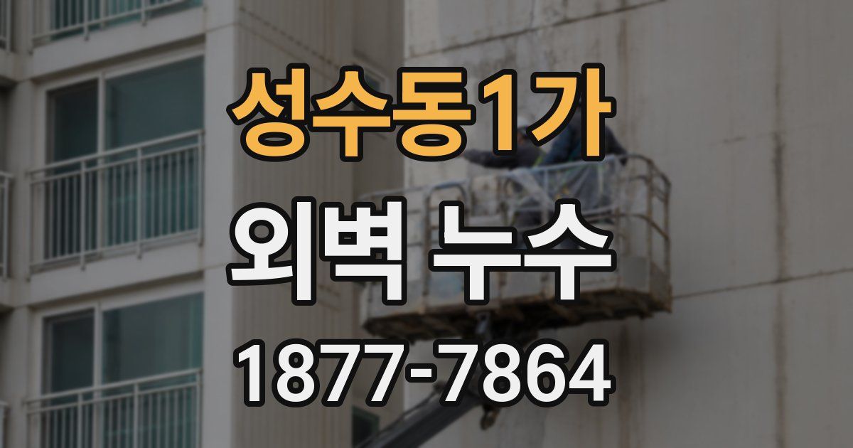성수동1가 외벽 누수