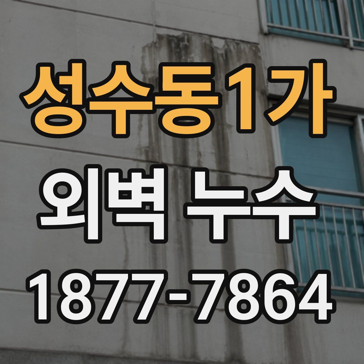 성수동1가 외벽 누수