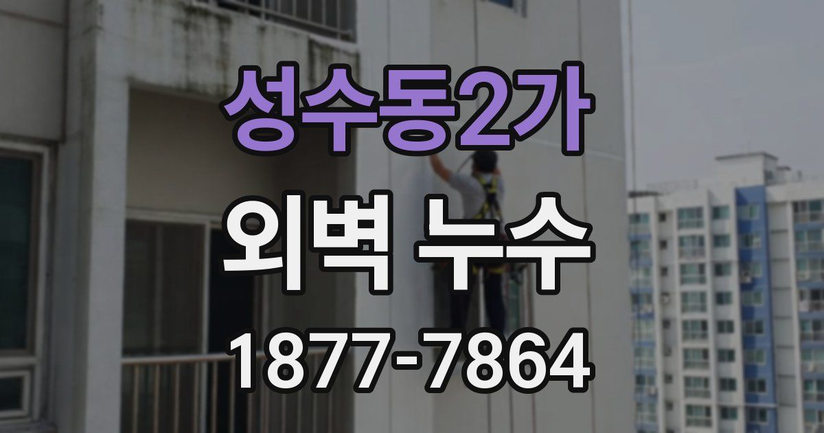 성수동2가 외벽 누수