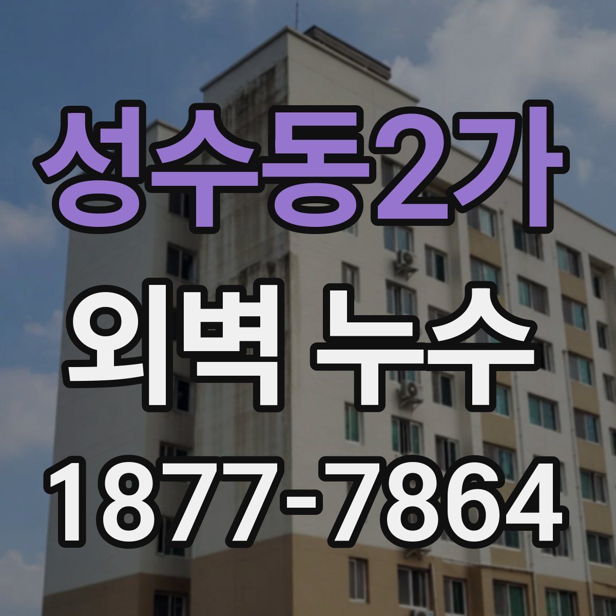 성수동2가 외벽 누수