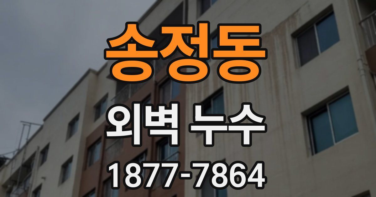 송정동 외벽 누수