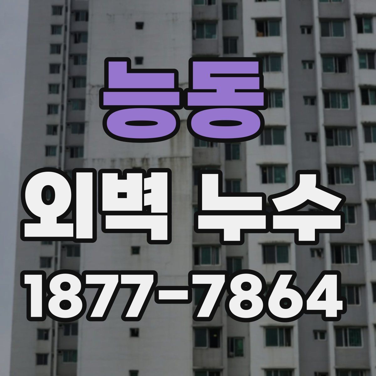능동 외벽 누수 보수 비용이 달라지는 이유