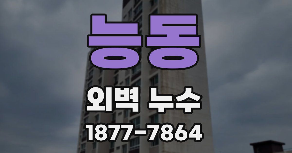 능동 외벽 누수