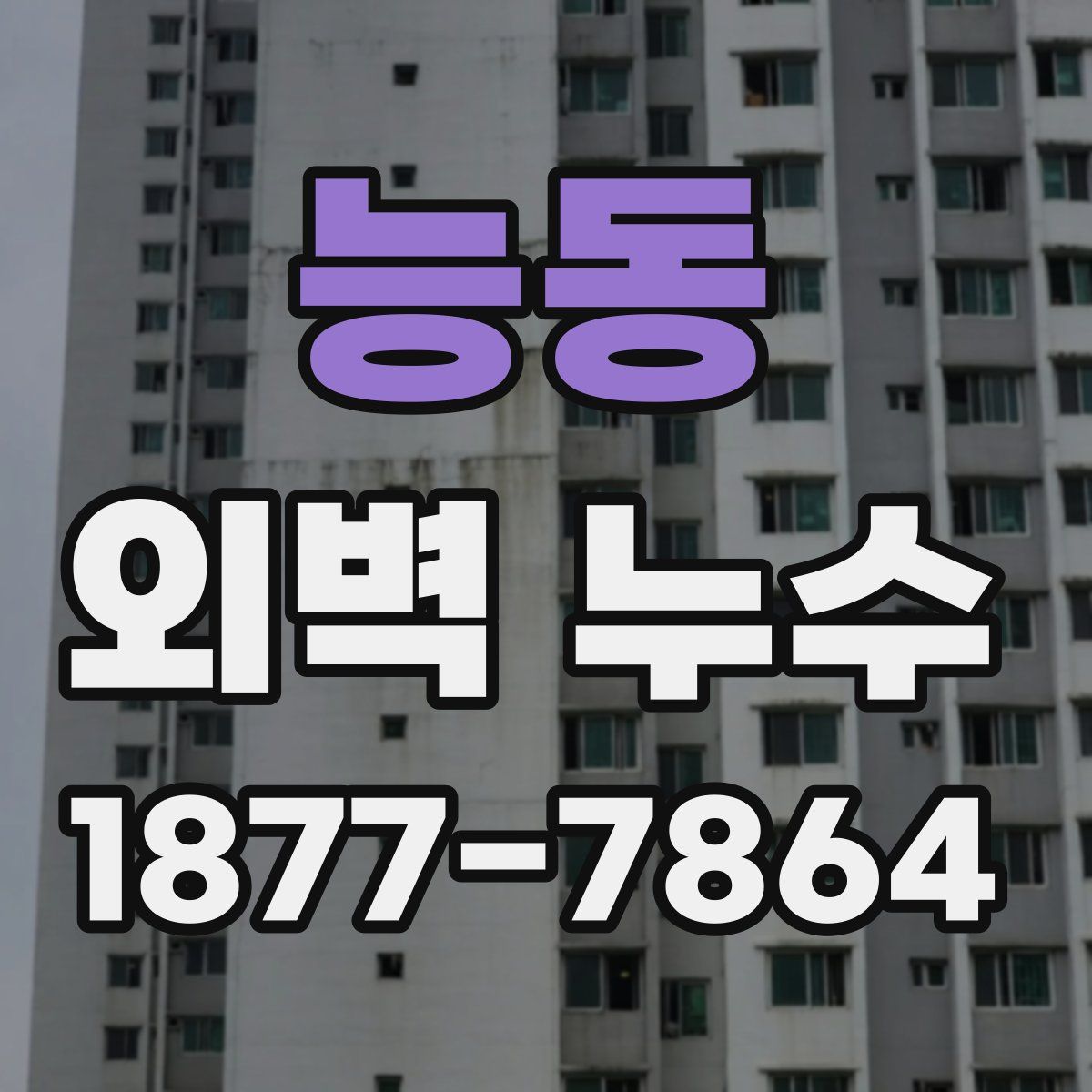 능동 외벽 누수