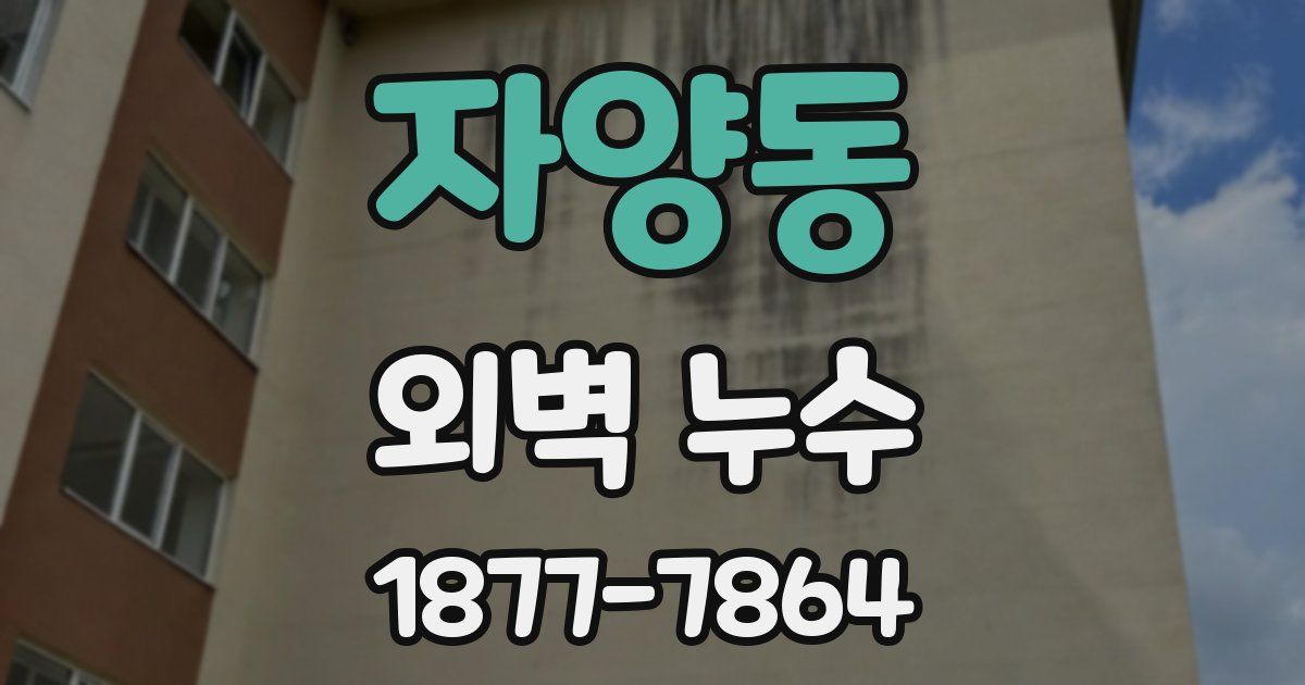 자양동 외벽 누수