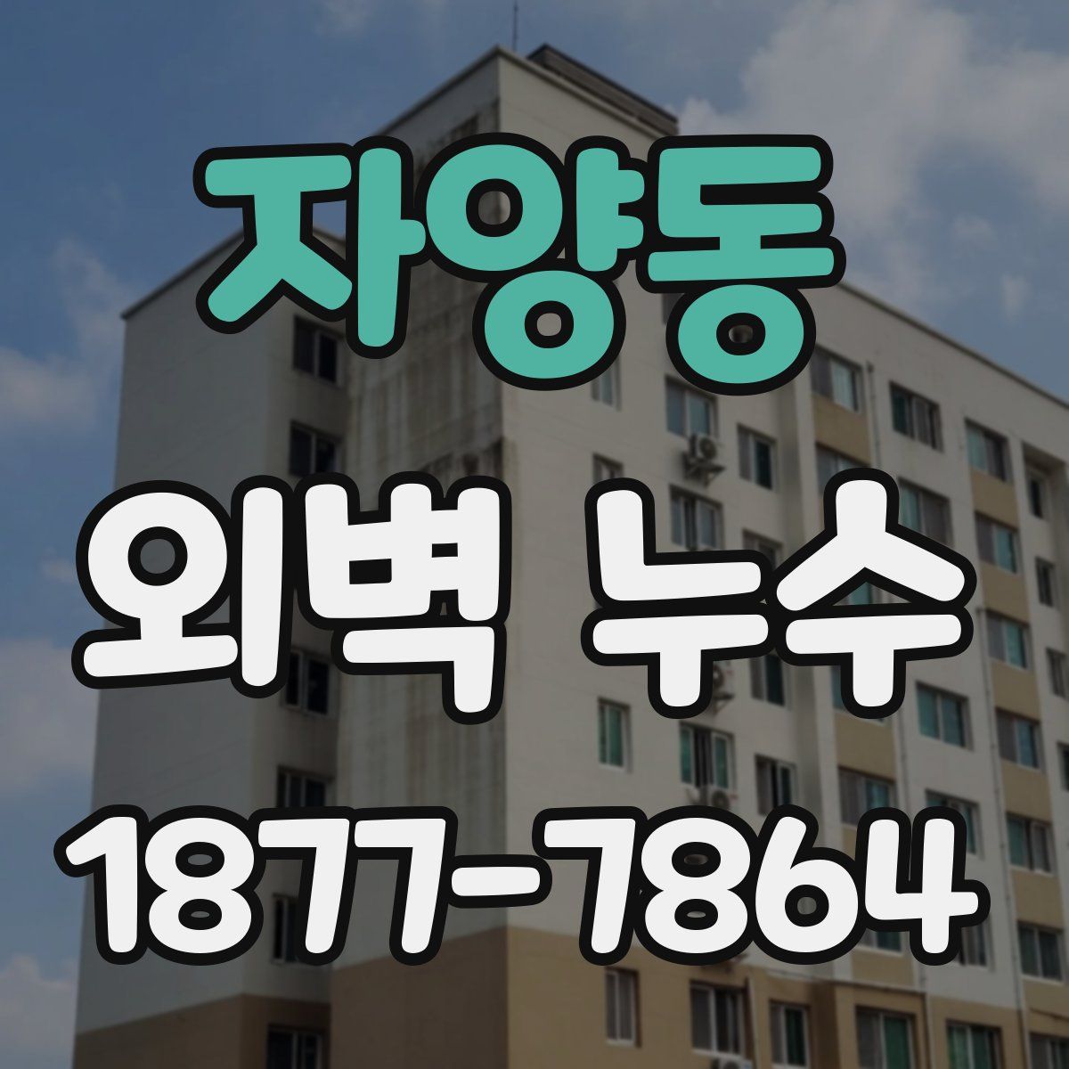 자양동 외벽 누수