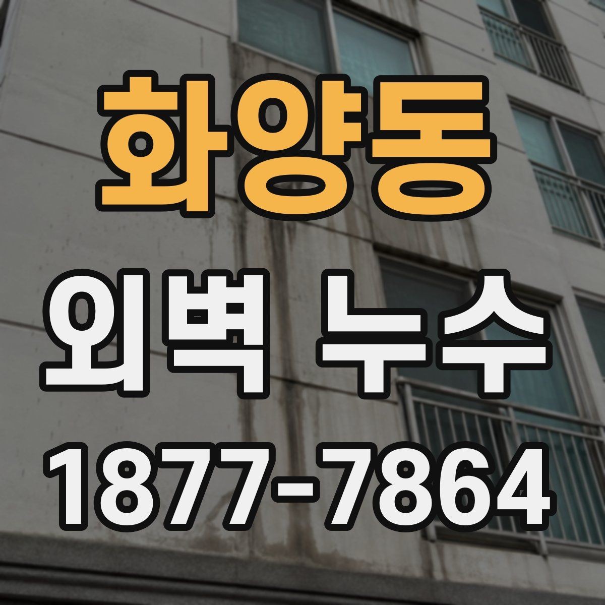 화양동 외벽 누수 보수 전 업체 상담 포인트