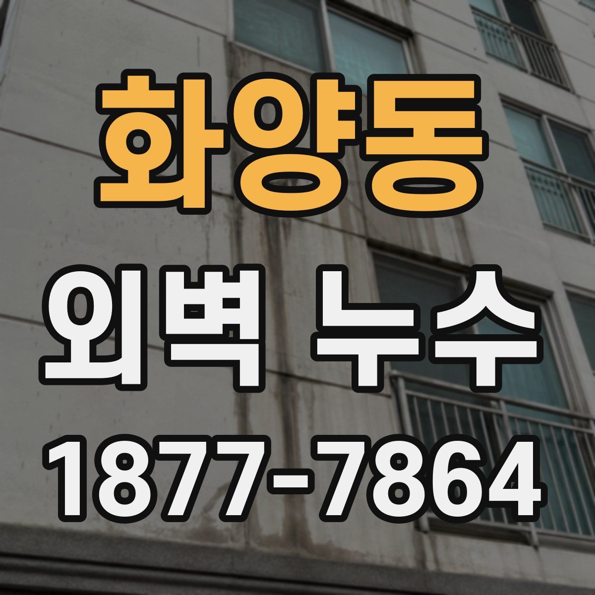 화양동 외벽 누수