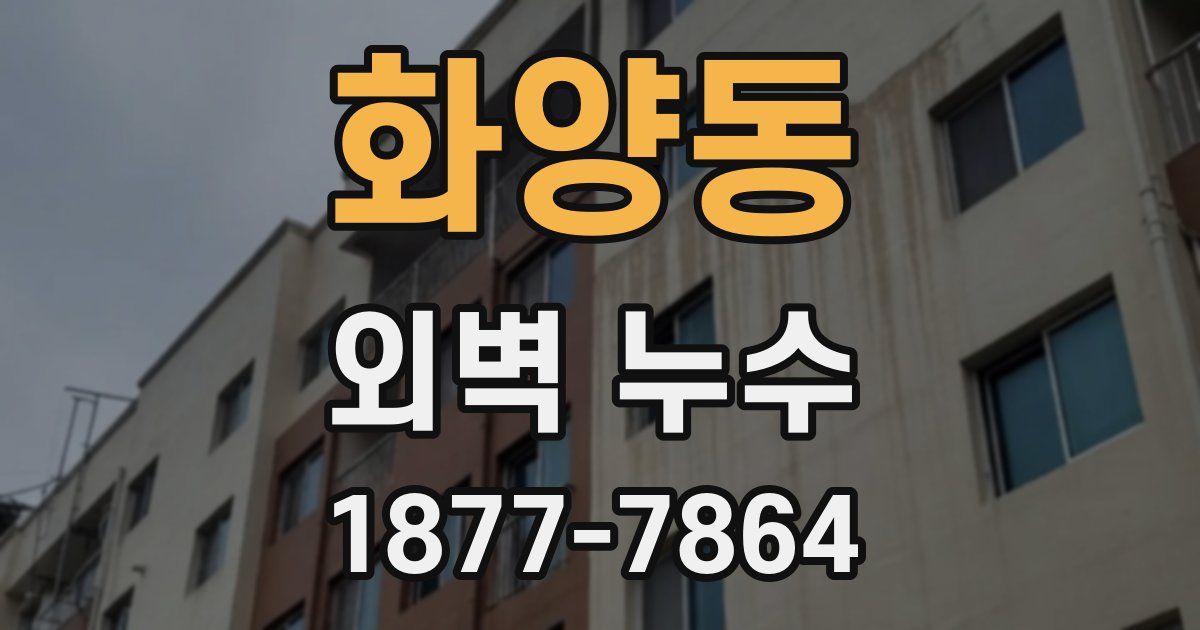 화양동 외벽 누수