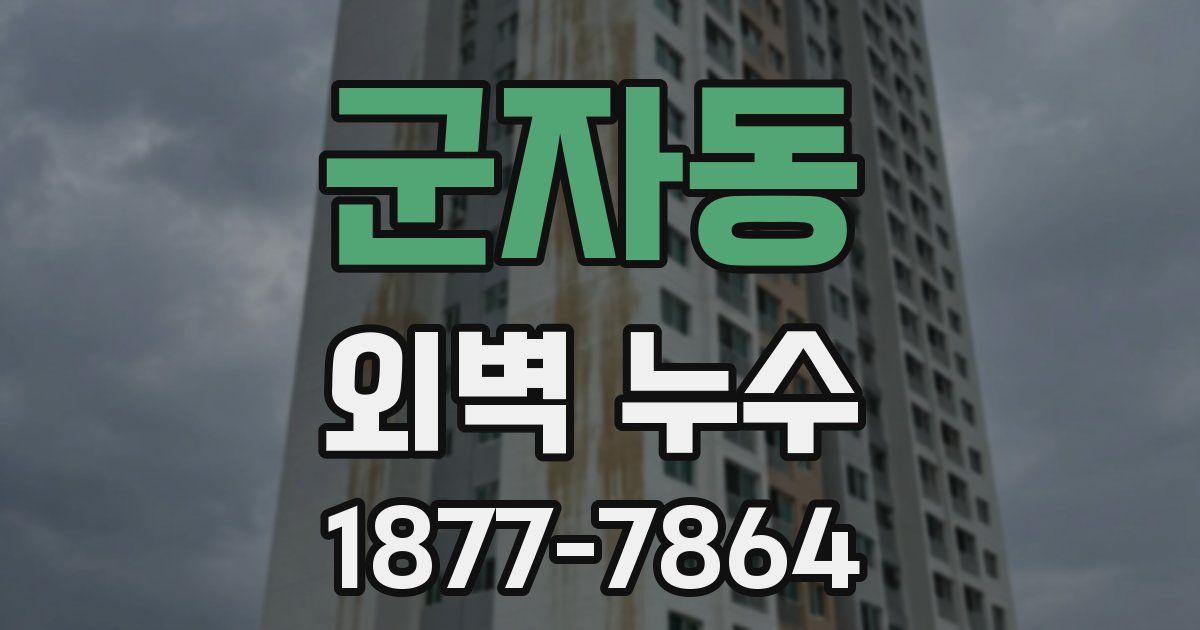 군자동 외벽 누수