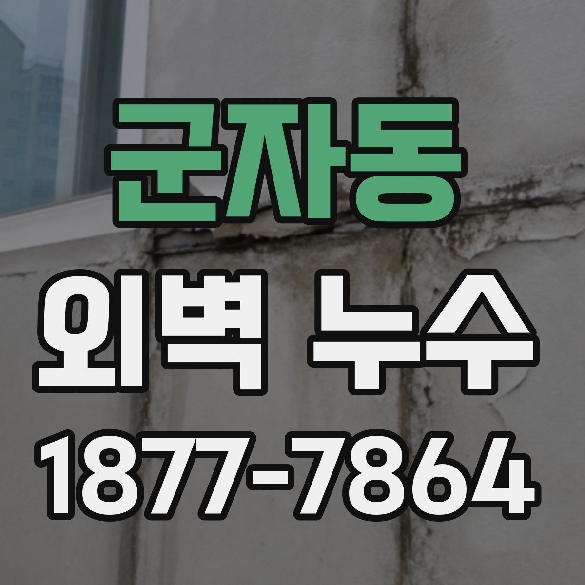 군자동 외벽 누수