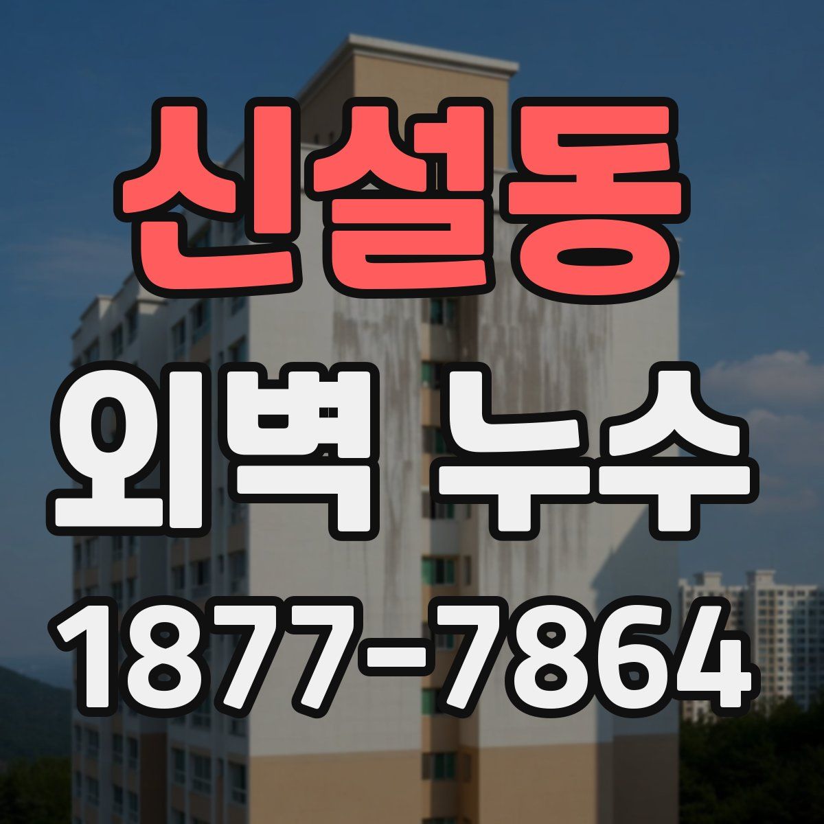 신설동 외벽 누수