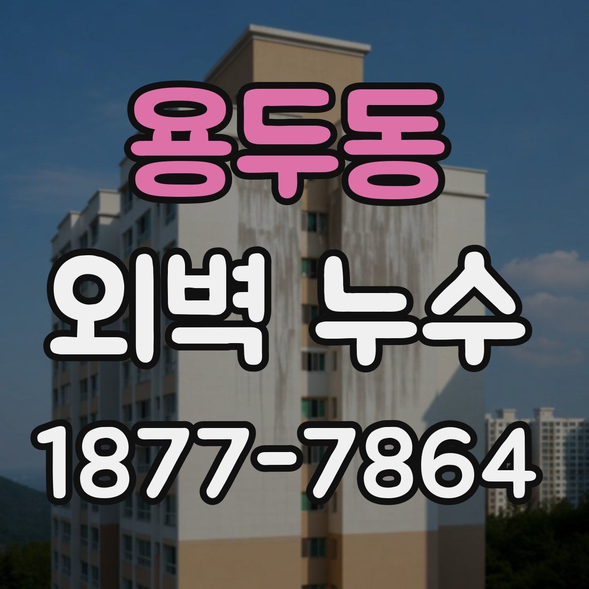용두동 외벽 누수 원인부터 점검하는 방법