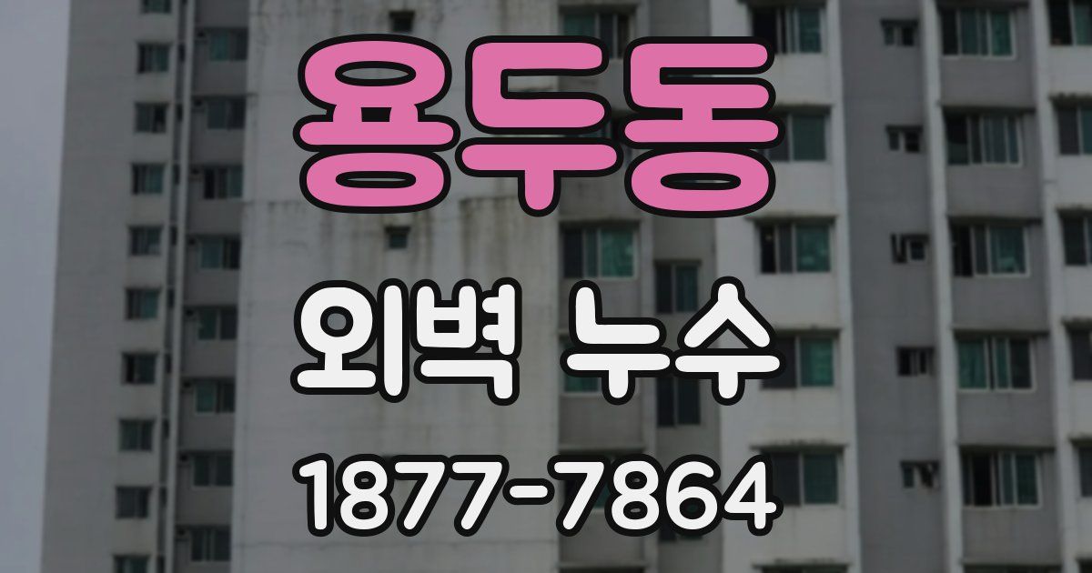 용두동 외벽 누수