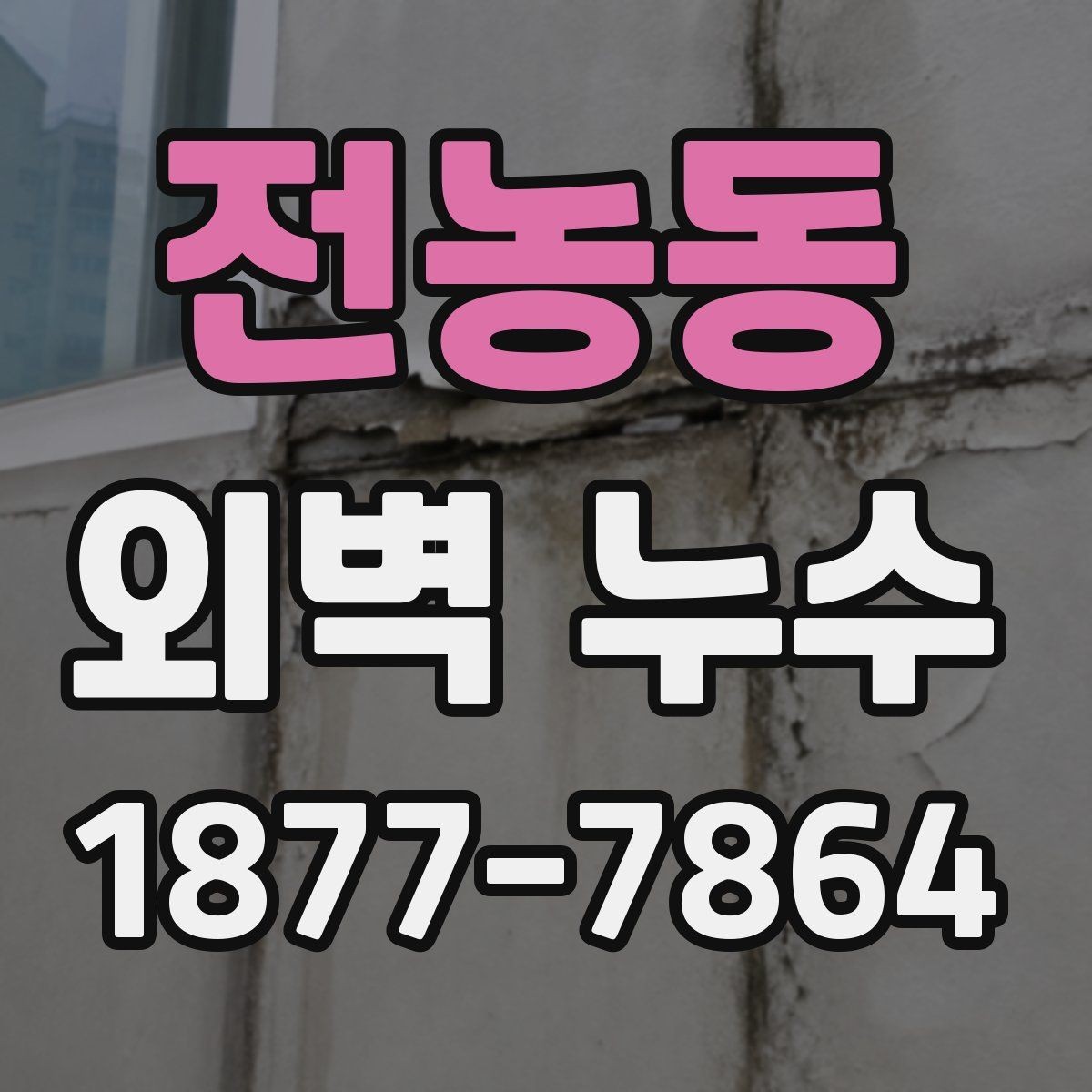 전농동 외벽 누수 보수 범위를 정하는 방법