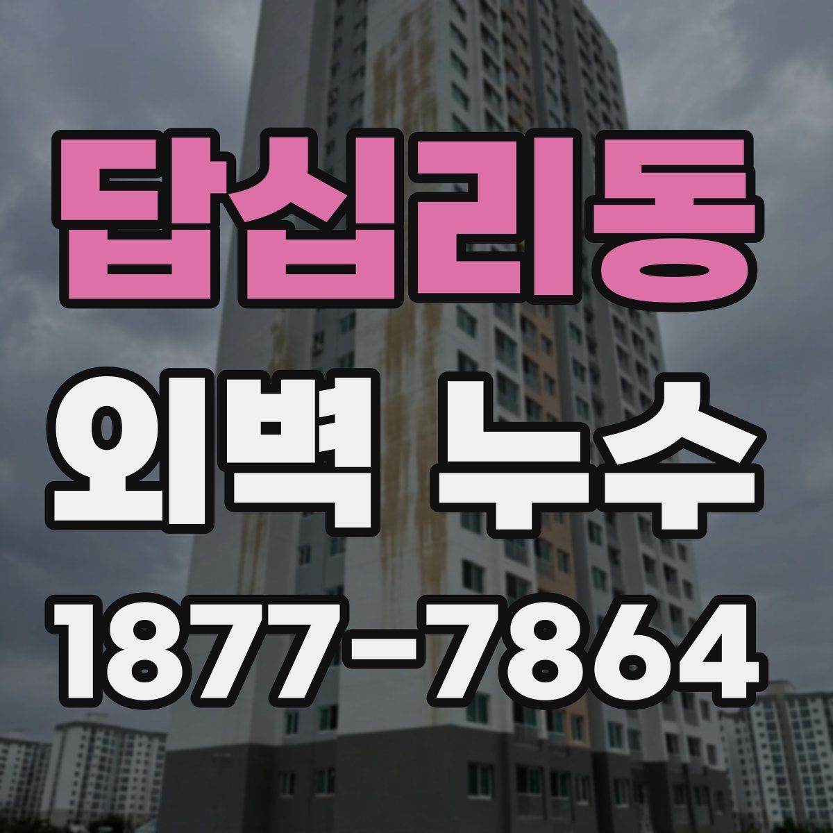답십리동 외벽 누수